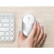 Мышь компьютерная Xiaomi Mi Portable Mouse, беспроводная, эргономичная, Silver/White (BXSBMW02)
